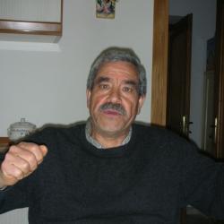 Iagnemma